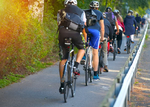 자전거 전용 도로 — 스톡 사진